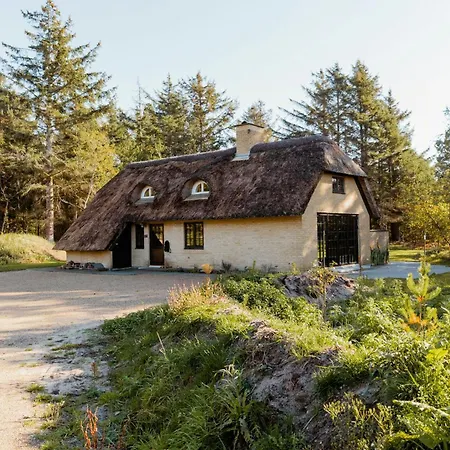 Middle Of Forest With Sea And Reserve